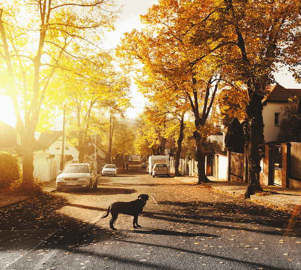 10 Things to Check Before Buying in a New Neighborhood