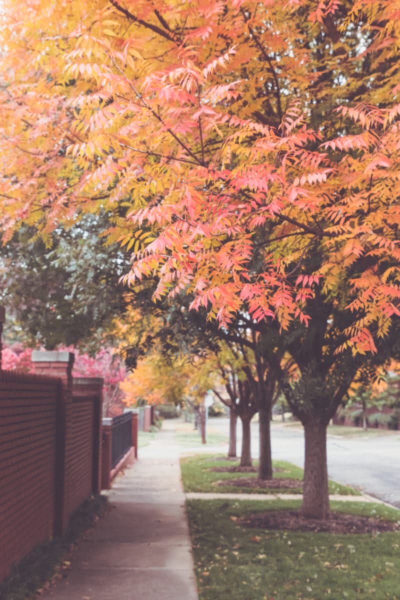 Why August-to-Winter Is the Ultimate Buyer Negotiation Window